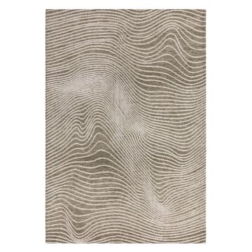 Covor verde-crem 120x170 cm Mason – Asiatic Carpets