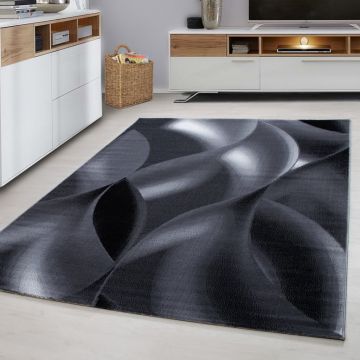 Covor Plus Negru V4 160x230 cm