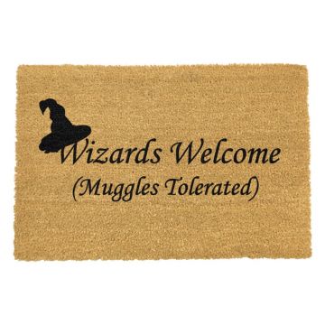 Covoraș intrare din fibre de cocos Artsy Doormats Wizards Welcome, 40 x 60 cm