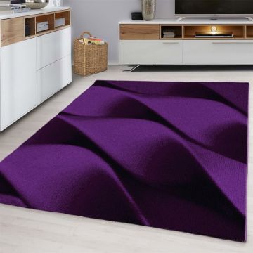 Covor Parma Lila V2 160x230 cm