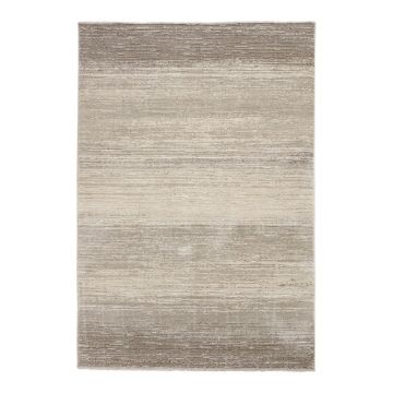 Covor gri/bej 120x170 cm Geneva – Think Rugs