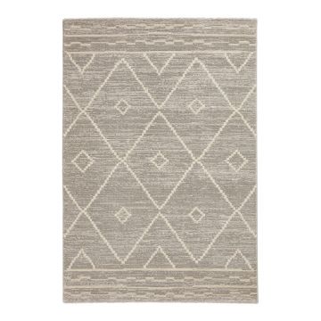 Covor gri deschis 120x170 cm Geneva – Think Rugs