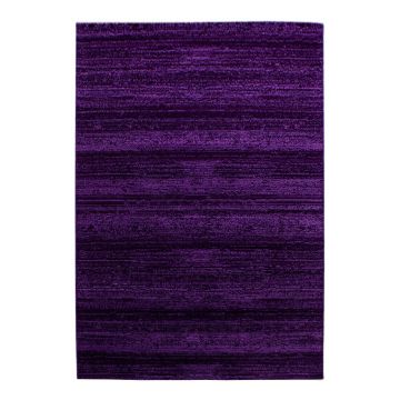 Covor violet 120x170 cm Plus – Ayyildiz Carpets