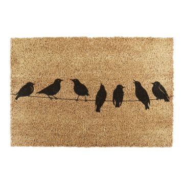 Covoraș de intrare din fibre de nucă de cocos 40x60 cm Birds On a Wire – Artsy Doormats