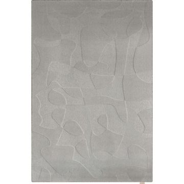 Covor gri din lână 200x300 cm Morphic Botanica – Agnella