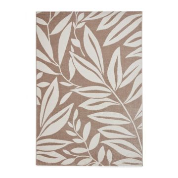 Covor maro deschis 120x170 cm Sorral Leaves – Catherine Lansfield