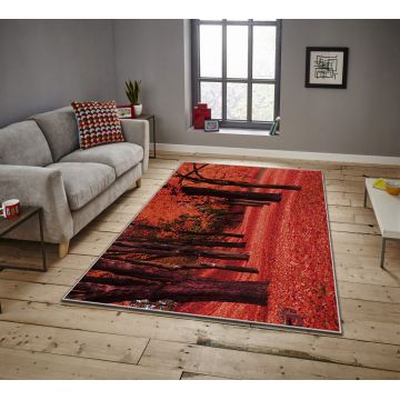 Covor, ASR CRPT-15 , 100x180 cm, Poliester, Multicolor