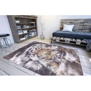 Covor, Opus Chenille, 150x230 cm, Poliester , Multicolor